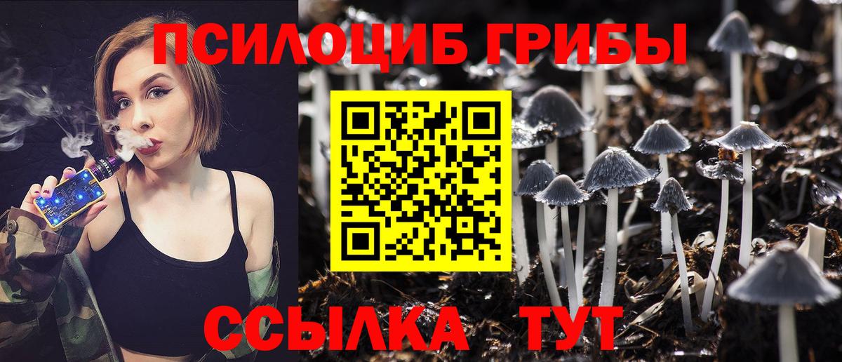 Галлюциногенные грибы Cubensis Бирск